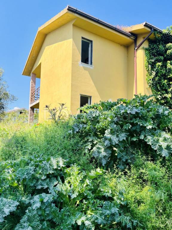 Villa a Schiera in vendita a Castiglione in Teverina località Vaiano