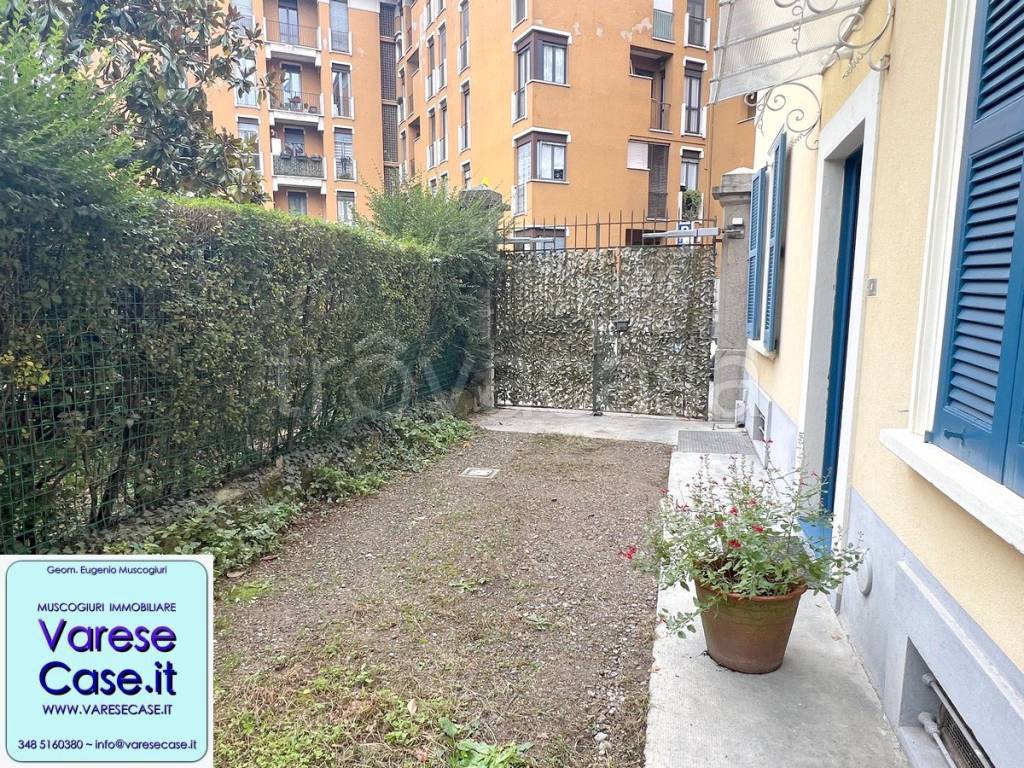 immagine annuncio 8 di 15
