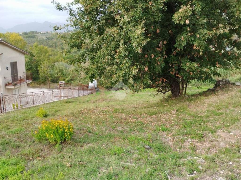 immagine annuncio 2 di 12