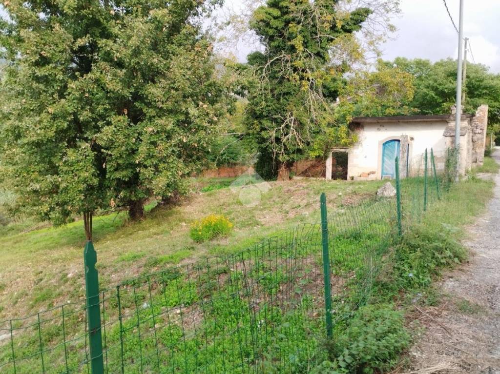 immagine annuncio 5 di 12