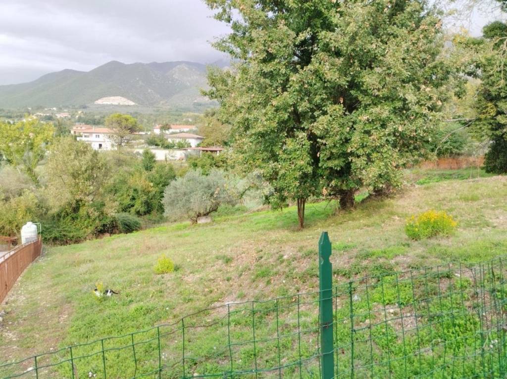 immagine annuncio 8 di 12