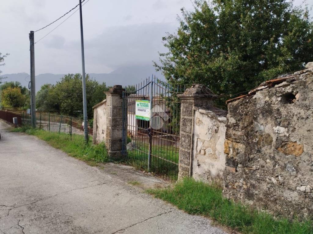 immagine annuncio 9 di 12