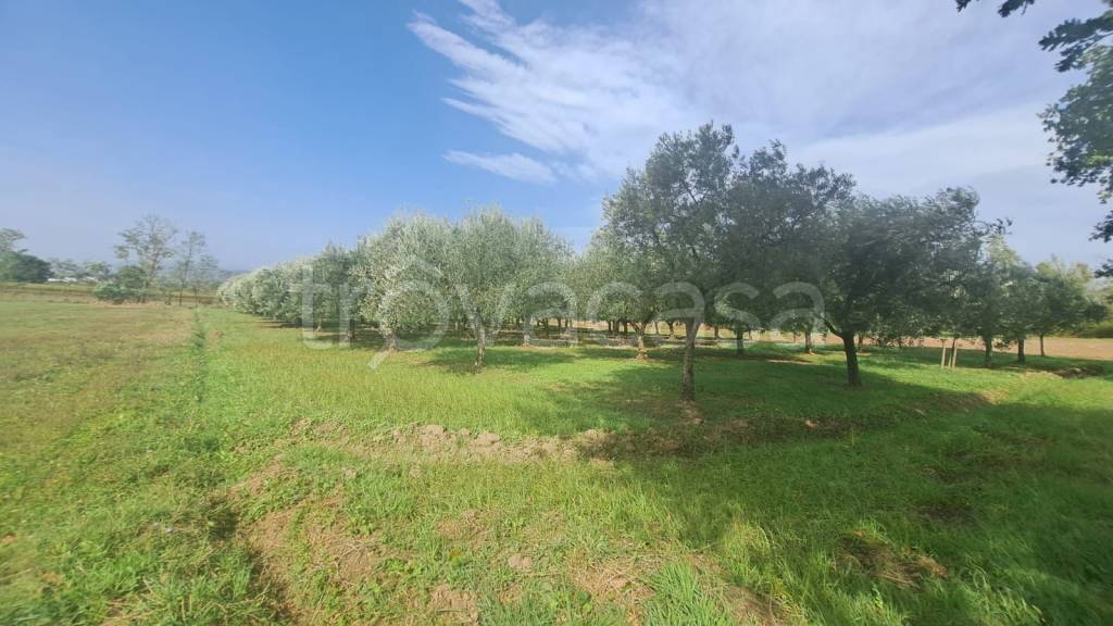 immagine annuncio 7 di 9