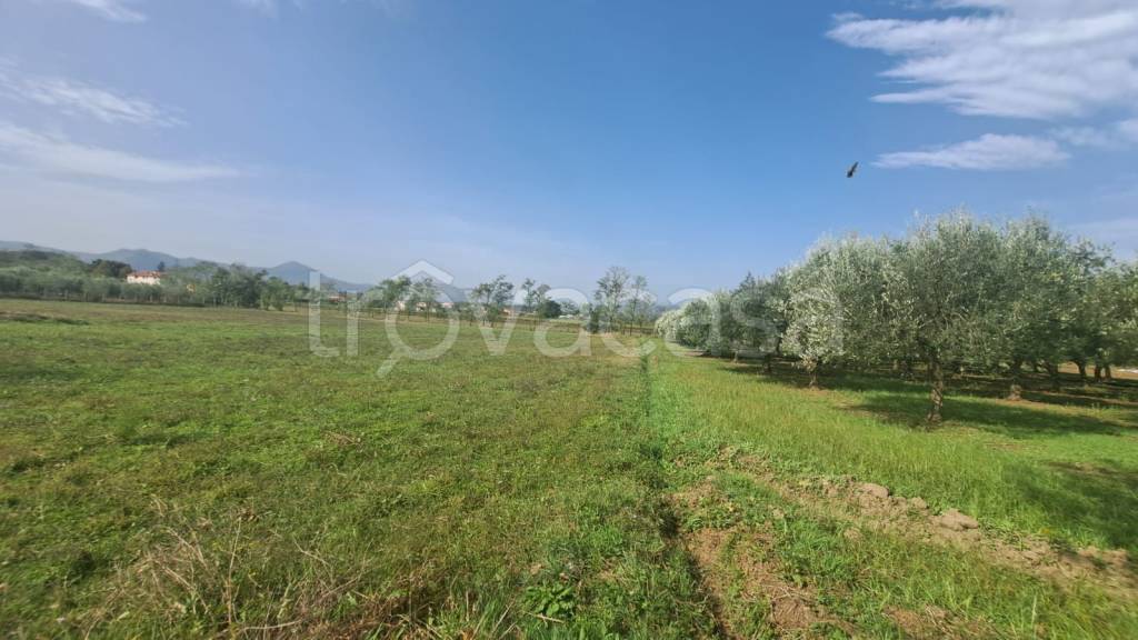 immagine annuncio 8 di 9