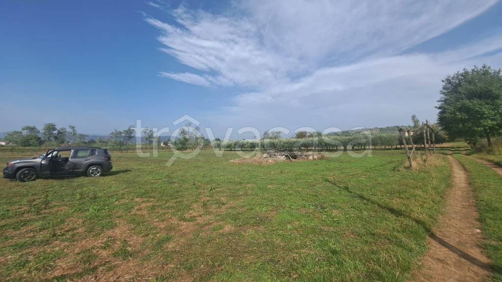 immagine annuncio 6 di 9