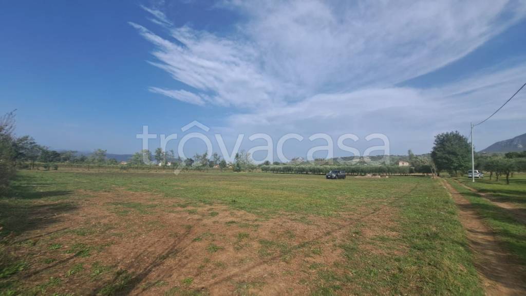 immagine annuncio 5 di 9