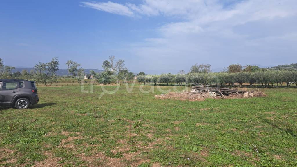 immagine annuncio 4 di 9