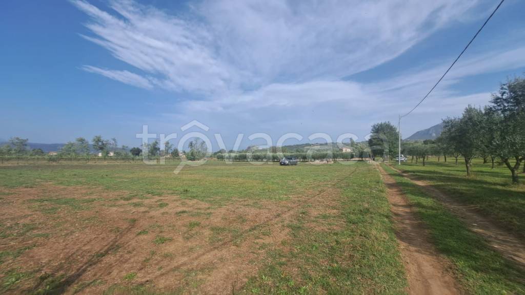 immagine annuncio 3 di 9