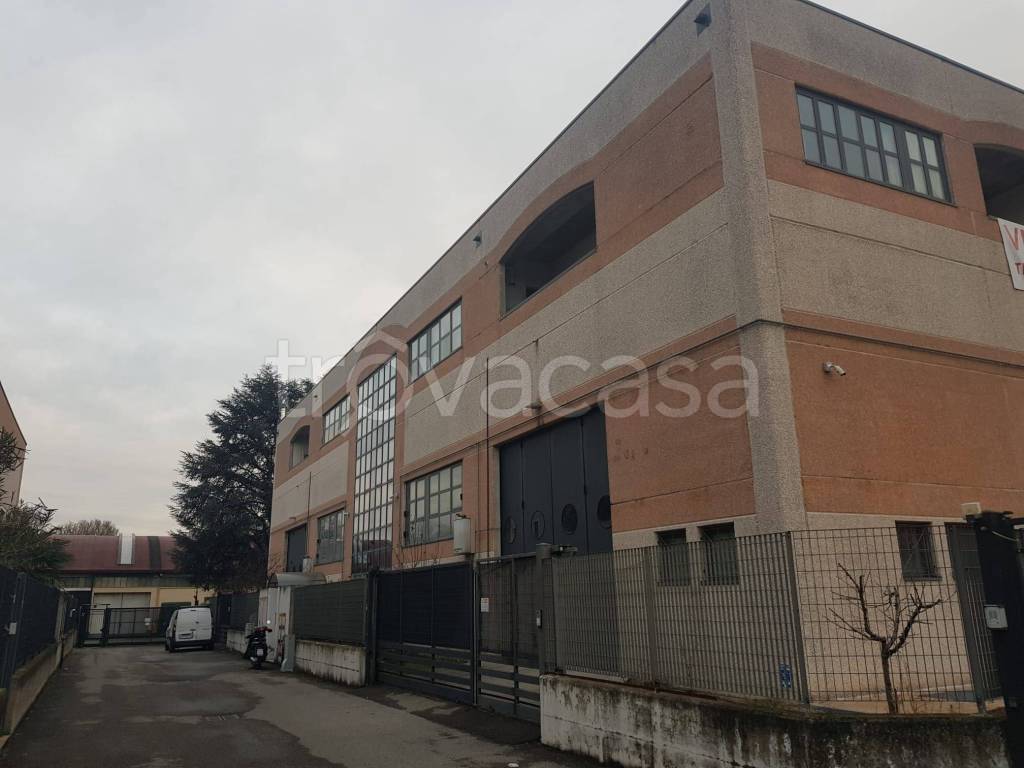 immagine annuncio 2 di 15