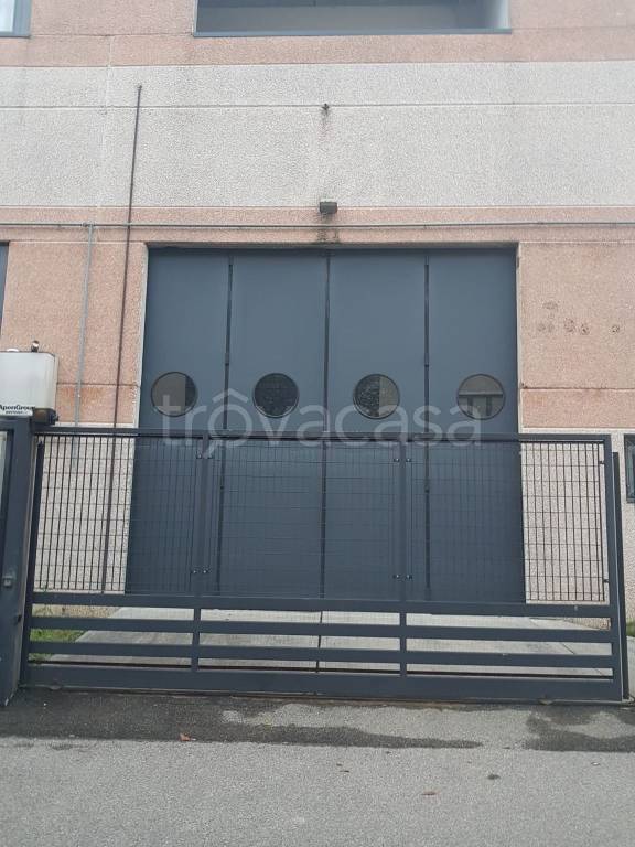 immagine annuncio 5 di 15