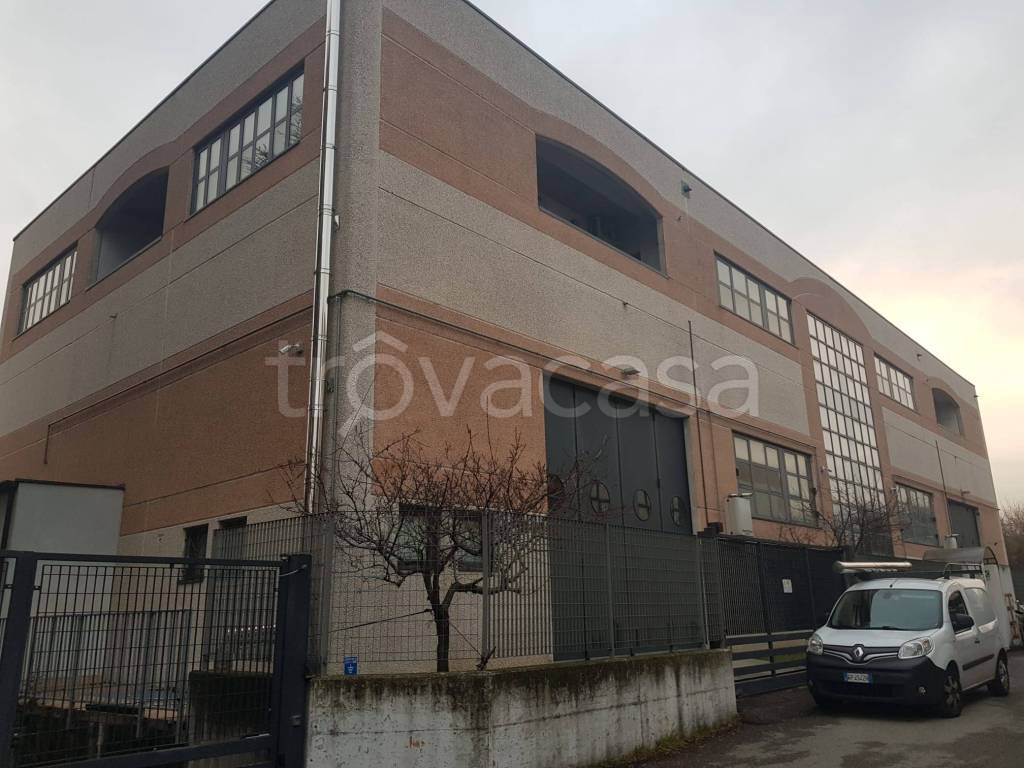 immagine annuncio 6 di 15