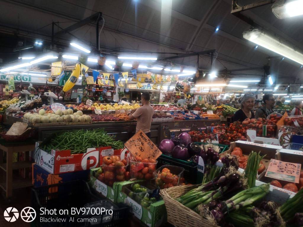 immagine annuncio 1 di 7