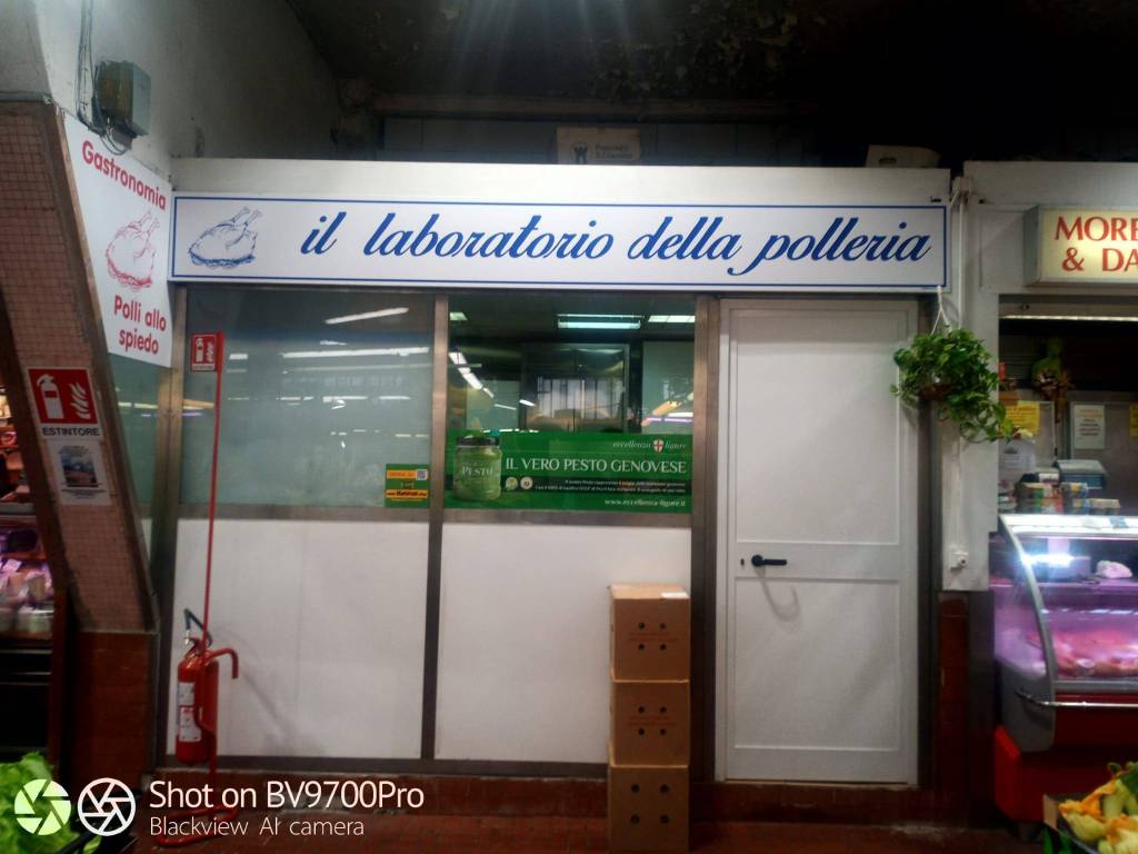 immagine annuncio 3 di 7