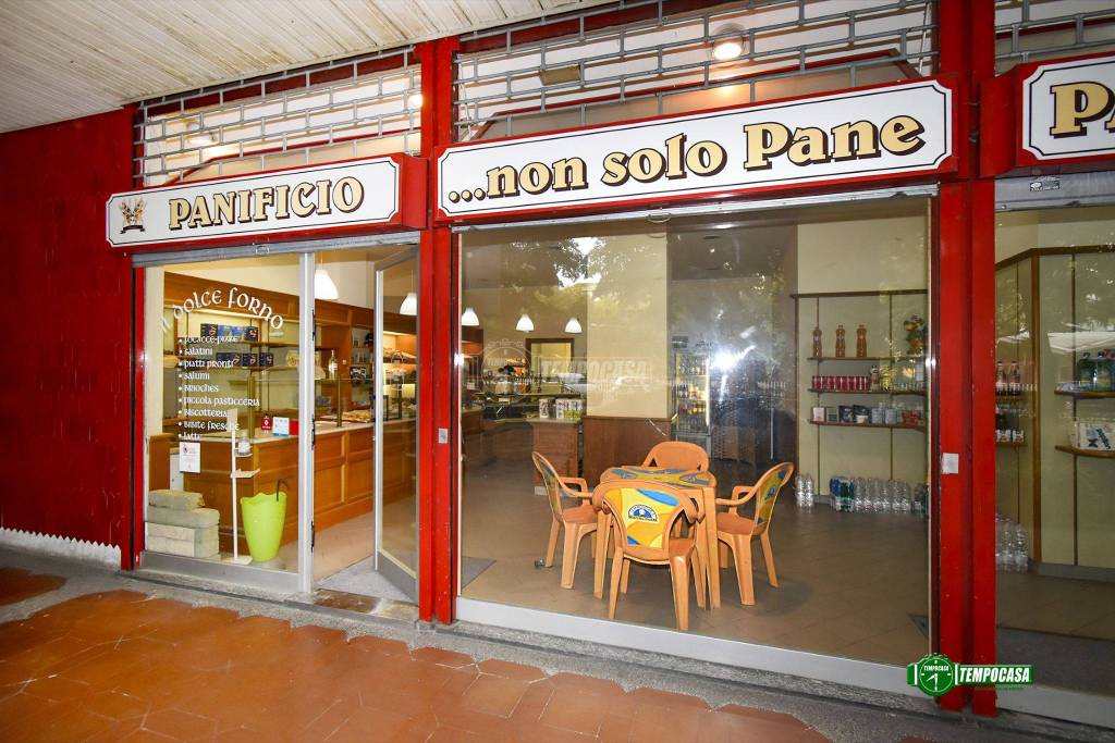 immagine annuncio 6 di 14
