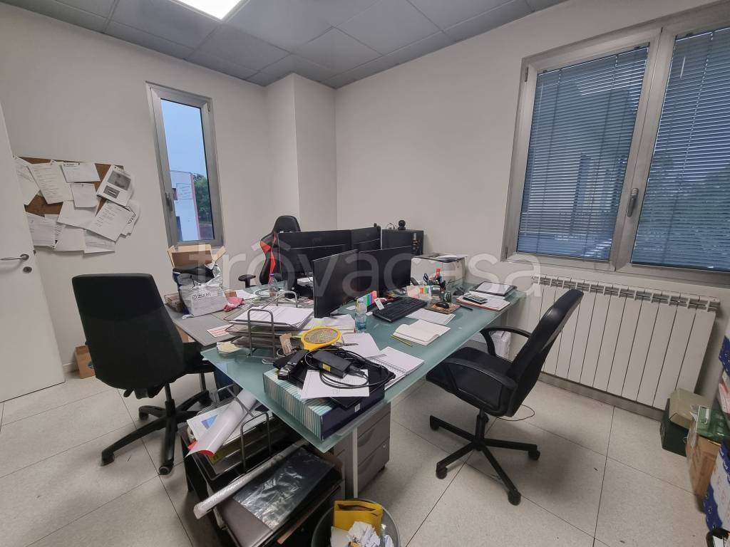 immagine annuncio 4 di 14