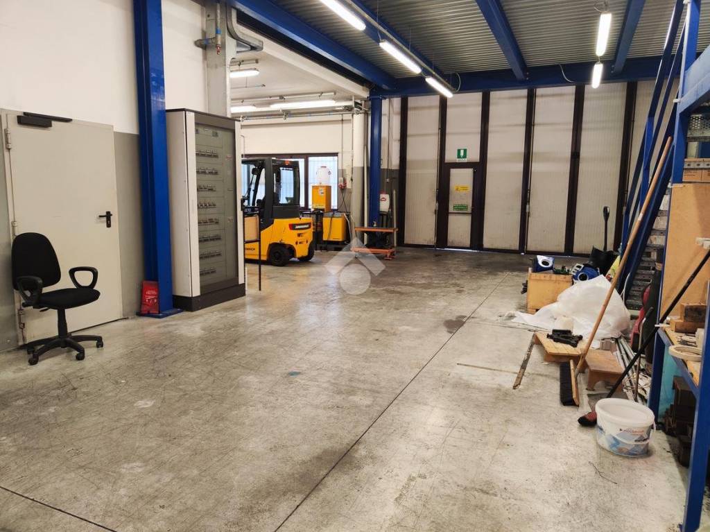 immagine annuncio 6 di 15