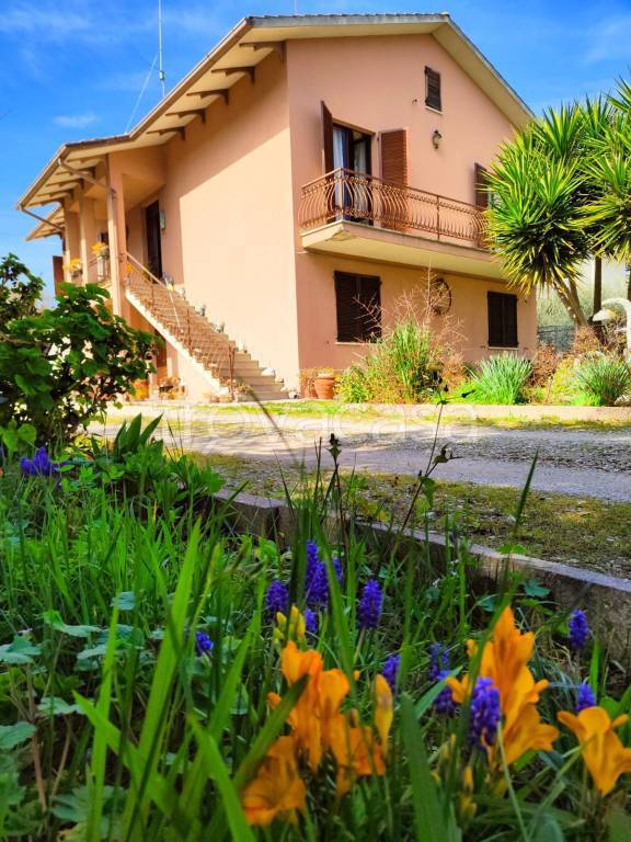 Villa in in vendita da privato a Civitanova Marche via Silvio Pellico, 60