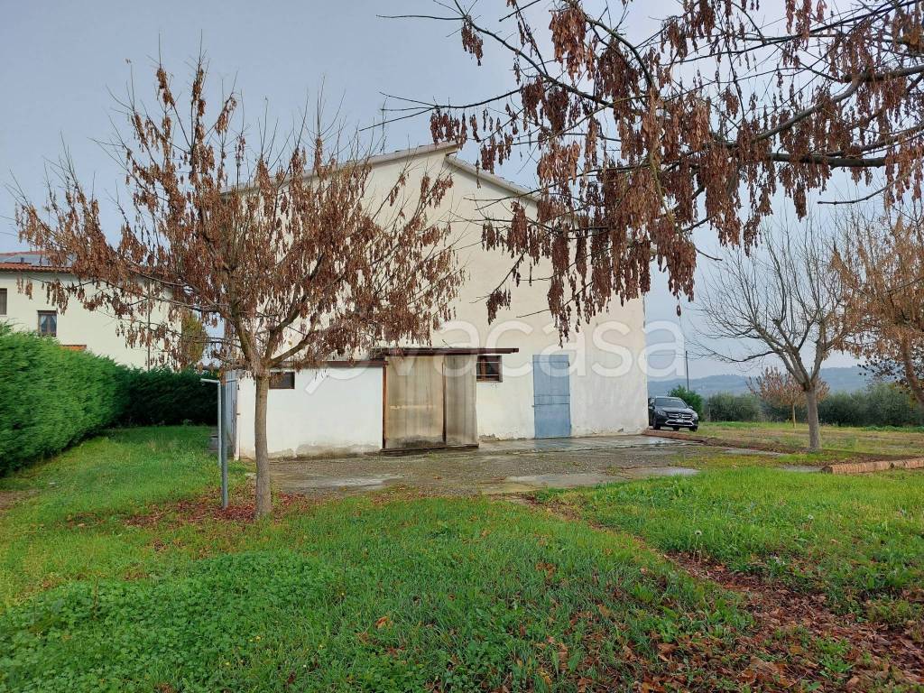 immagine annuncio 3 di 7