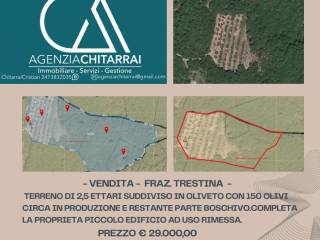 Terreno agricolo in vendita a città di castello località capeggiano