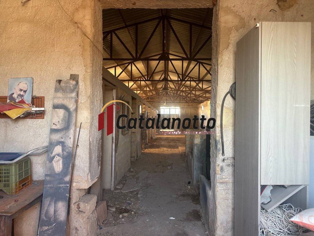 immagine annuncio 12 di 14