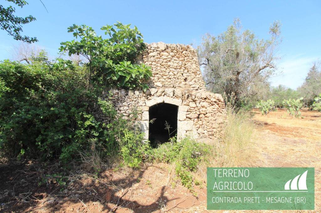 immagine annuncio 4 di 8