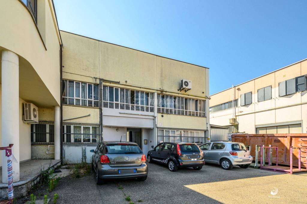 immagine annuncio 9 di 12