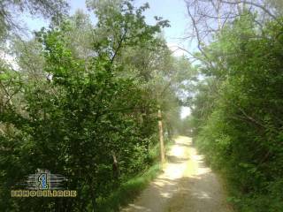 Terreno agricolo in vendita a giffoni valle piana ornito s.n.c