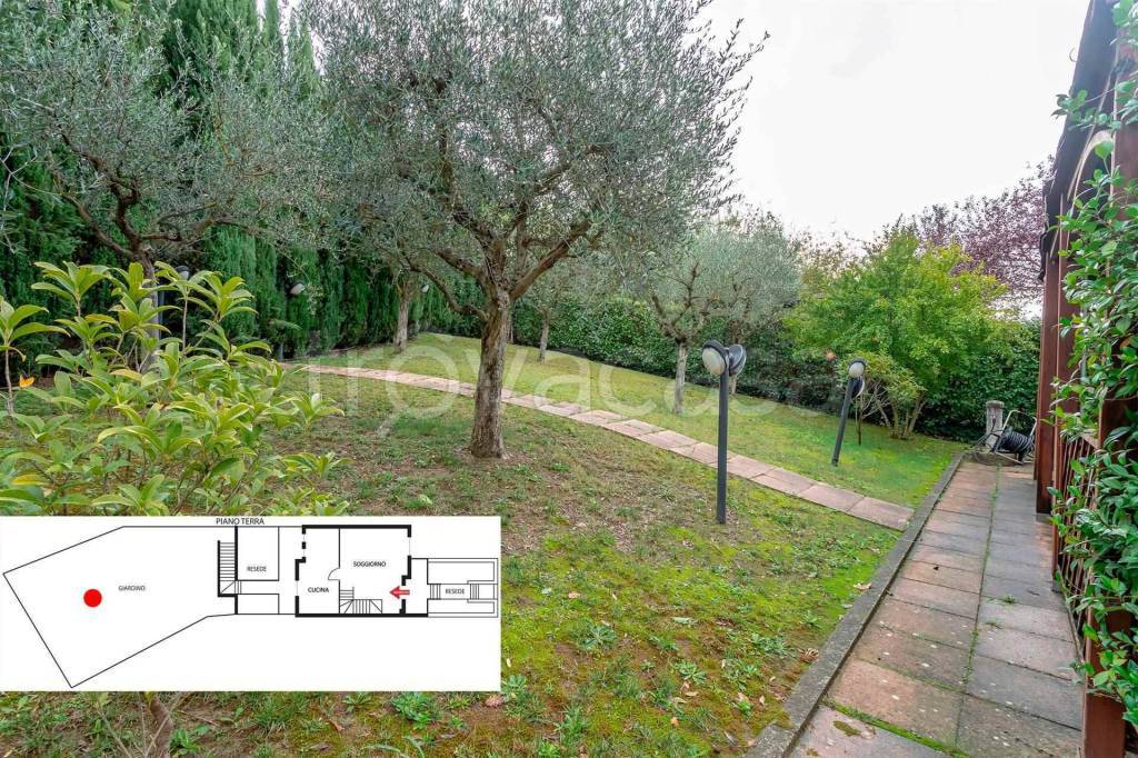 immagine annuncio 9 di 15