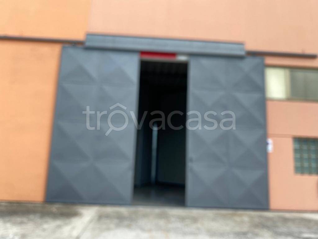 immagine annuncio 2 di 14