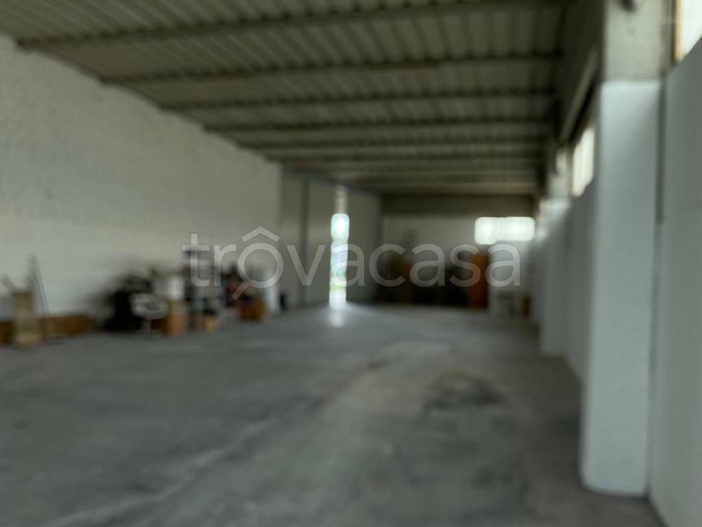 immagine annuncio 7 di 14