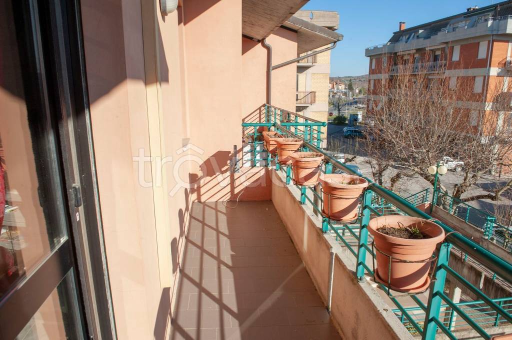 immagine annuncio 11 di 12