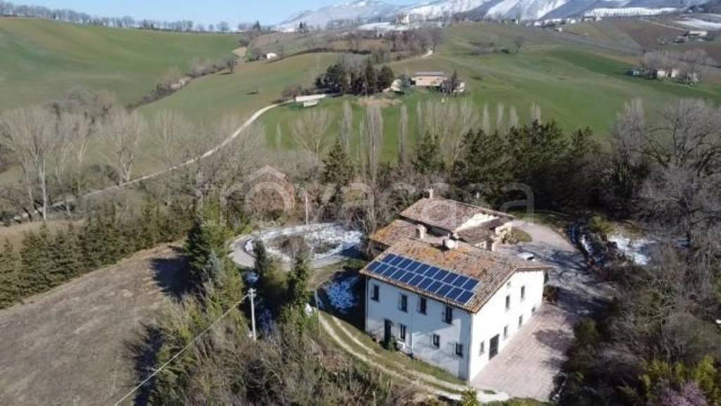 immagine annuncio 1 di 7