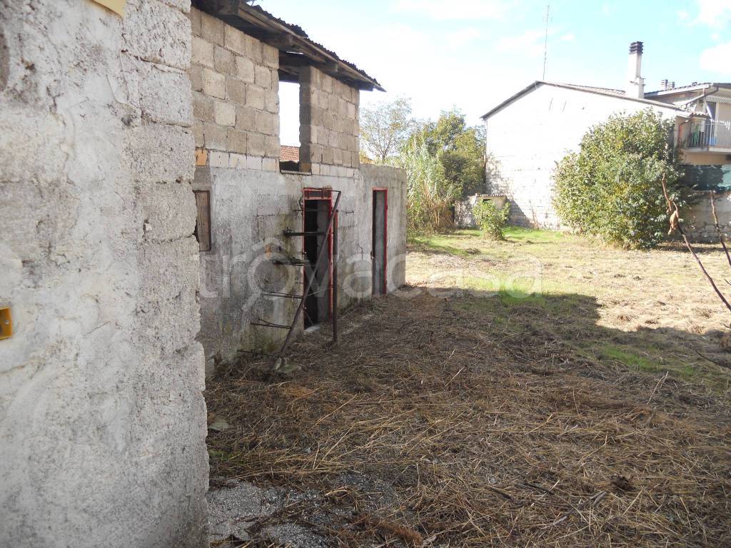 immagine annuncio 7 di 13