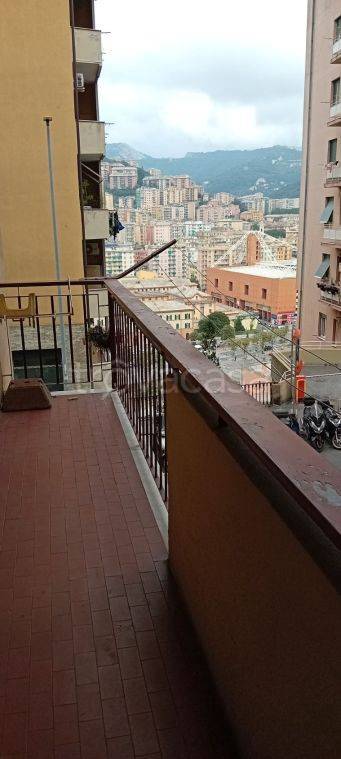Appartamento in in vendita da privato a Genova via Leonardo Montaldo, 57