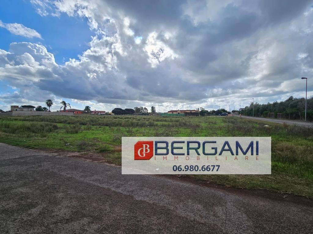 immagine annuncio 4 di 14