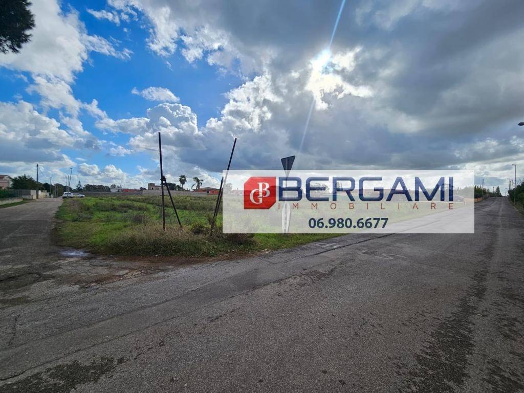 immagine annuncio 5 di 14