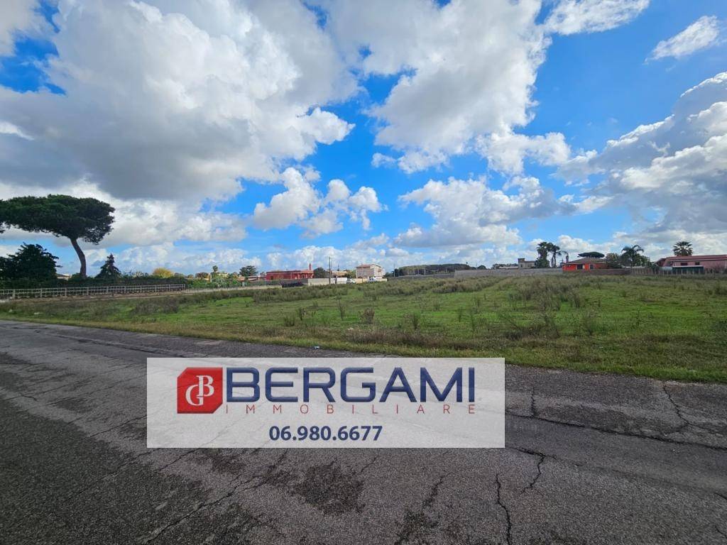 immagine annuncio 9 di 14