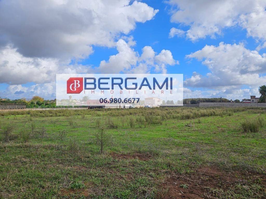 immagine annuncio 10 di 14