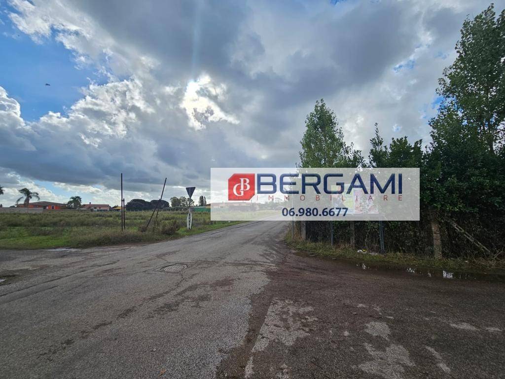 immagine annuncio 11 di 14