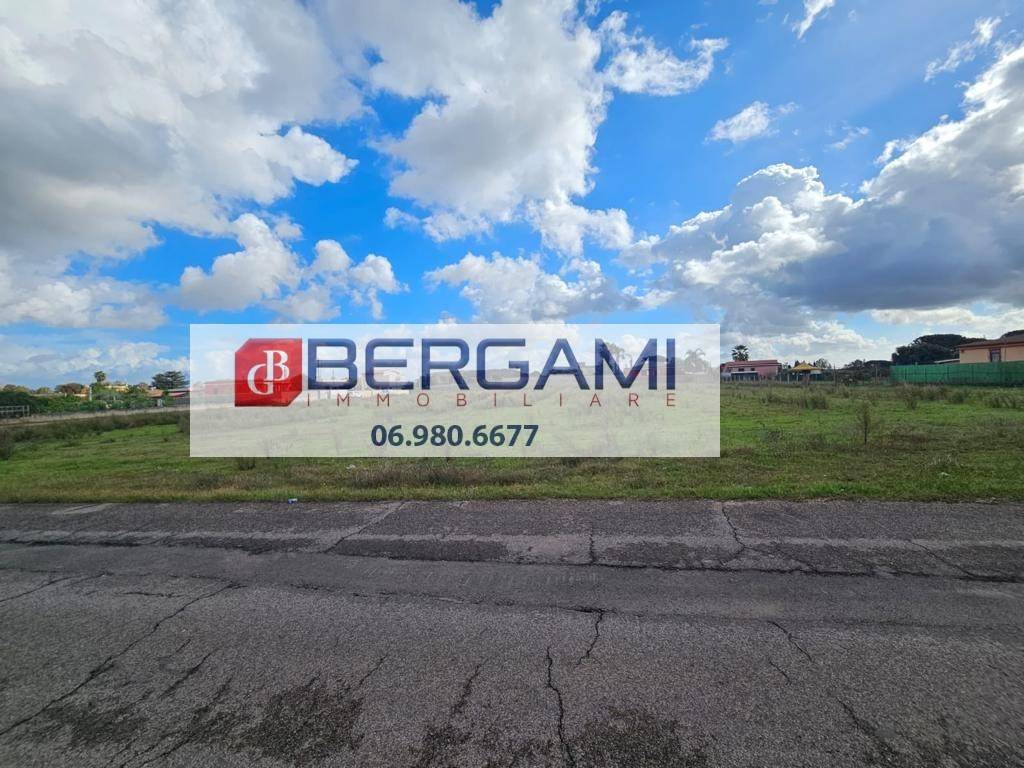 immagine annuncio 12 di 14