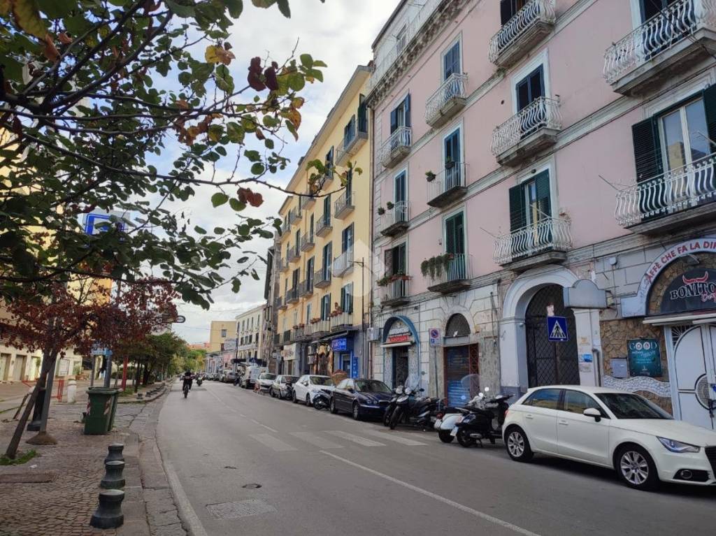 immagine annuncio 3 di 14