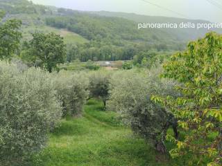 Terreno agricolo in vendita a carbone strada provinciale di carbone, 16