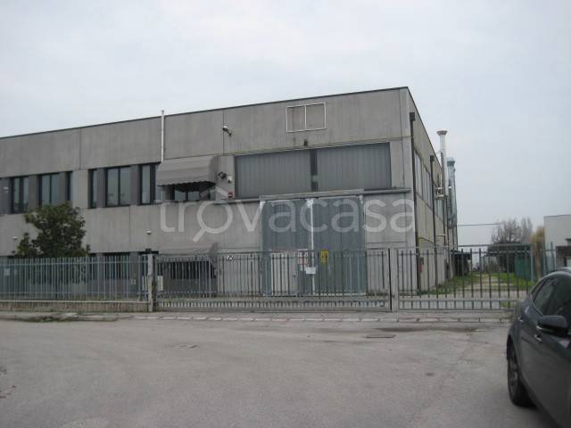 Capannone Industriale in affitto a Mestrino via Udine, 7