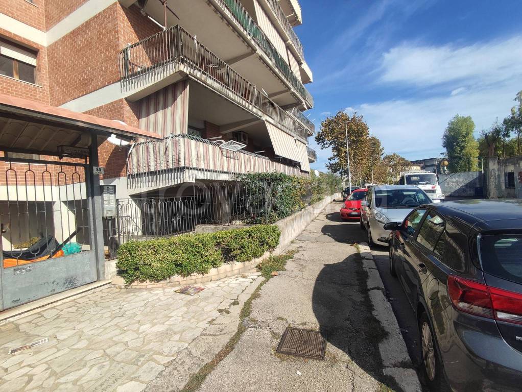 immagine annuncio 1 di 11