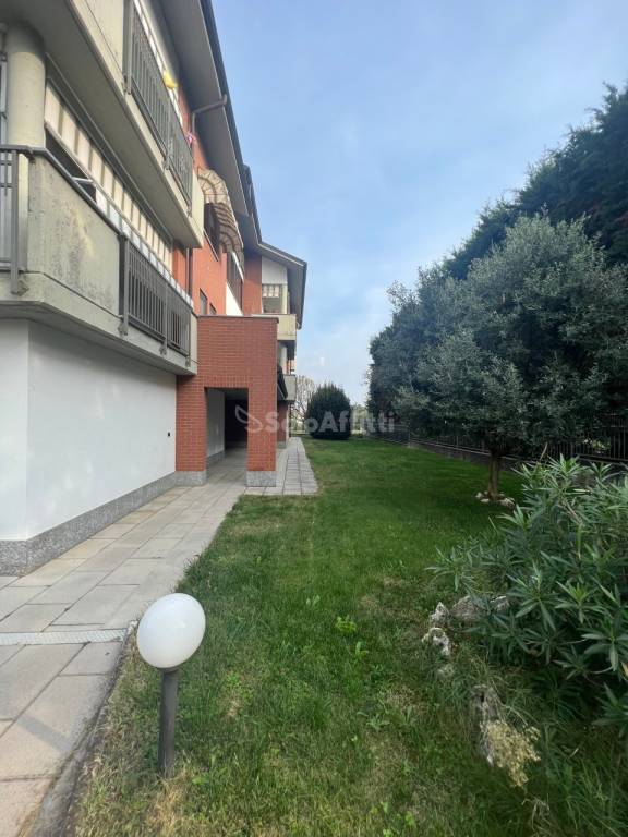 immagine annuncio 1 di 15