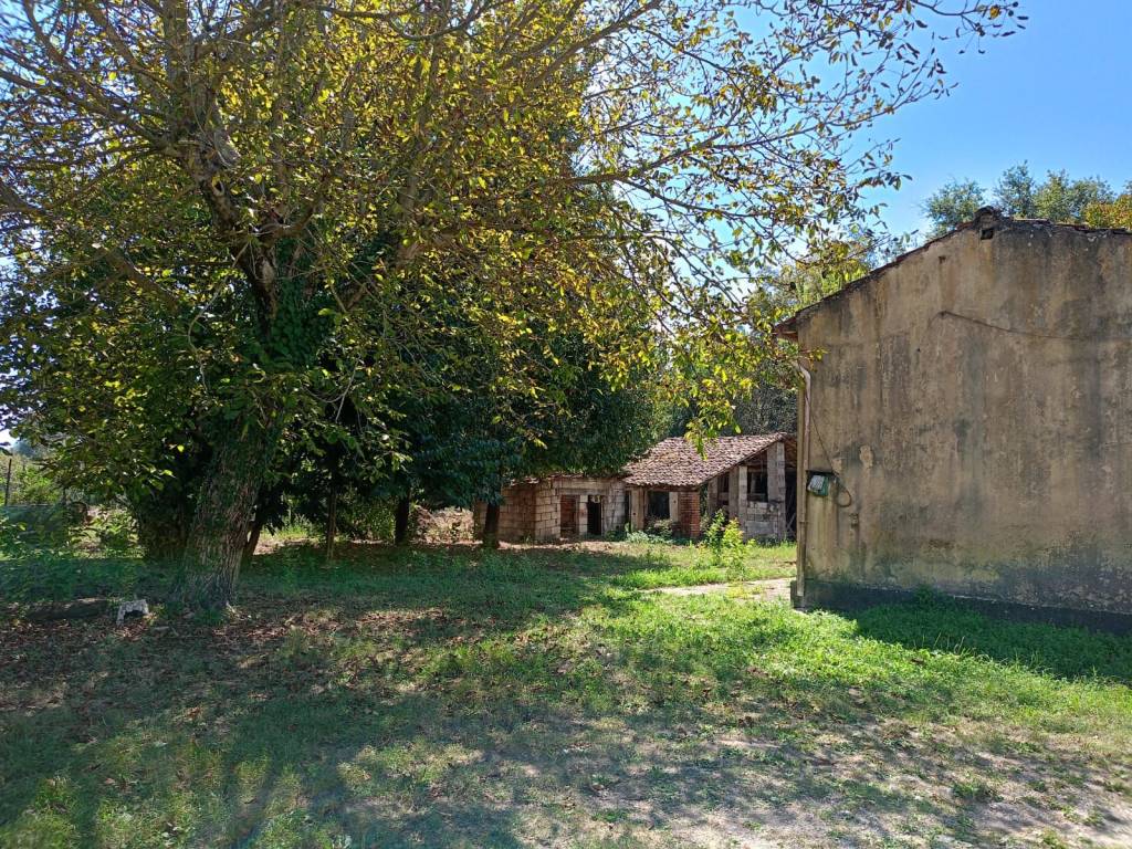 immagine annuncio 2 di 13