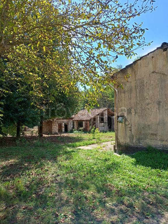 immagine annuncio 6 di 13
