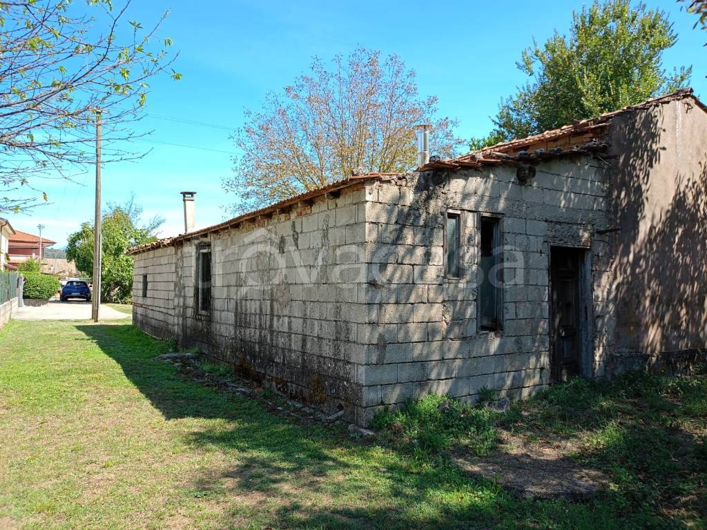 immagine annuncio 1 di 13