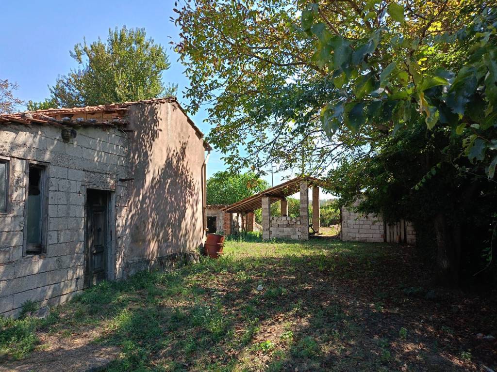 immagine annuncio 12 di 13