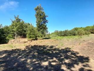 Terreno residenziale in vendita a canale monterano via torretta, 00